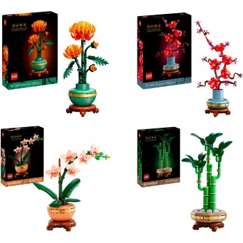 LEGO Botanicals paket Četiri godišnja doba