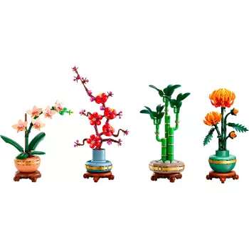 LEGO Botanicals paket Četiri godišnja doba