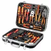 NEO TOOLS 25-dijelni set električarskog alata u koferu, VDE izolirani ručni alat s ispitivačem napona, kliještima za skidanje izolacije, kliještima, odvijačima i priborom u izdržljivom plastičnom koferu