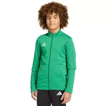 adidas Entrada 26 Track children's sweatshirt green JZ6613 152cm