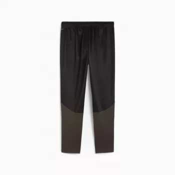 Men's trousers Puma Team Goal Training black 658639 03 S