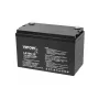 VIPOW gel baterija 12V 100Ah