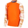 Nike Dry Park IV JSY LS GK Junior vratarska majica narančasta CJ6072 819 XS