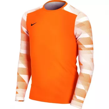 Nike Dry Park IV JSY LS GK Junior vratarska trenirka narančasta CJ6072 819 L