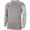 Nike Dry Park IV JSY LS GK junior vratarska majica, siva CJ6072 052 S