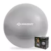 SCHILDKROT gimnastička lopta 65 cm, srebrna, Anti-Burst 960156