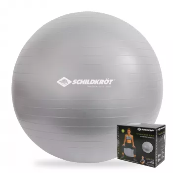 SCHILDKROT Gym Ball 65 cm Silver Anti-Burst 960156