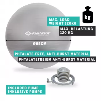 SCHILDKROT Gym Ball 65 cm Silver Anti-Burst 960156