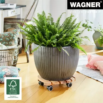 WAGNER Multiroller ERLE soft okrugli Ø34cm kolica za biljke, masivno drvo johe, 100 kg, 3 okretna kotača, zaštita poda 20026201