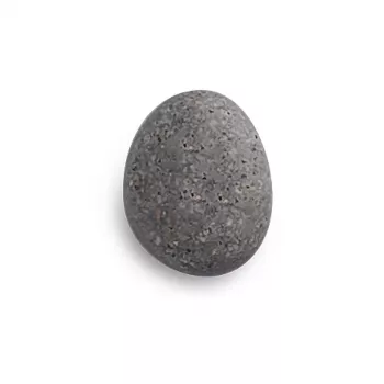 Zeller 6 kamenih magneta sivi 2,1 x 1,8 x 1,0 cm (11219)
