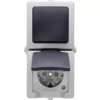 HEINRICH KOPP Nautic siva kombinirani prekidač i utičnica s poklopcem, IP44, 250 V, 16 A 138556008