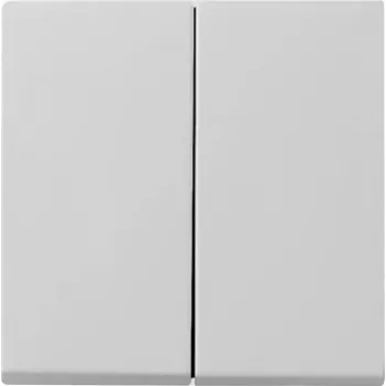Gira System 55 poklopac prekidača 2-struki, sivi 0295015