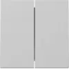 Gira System 55 Rocker 2-Gang Grey Matt 3295015