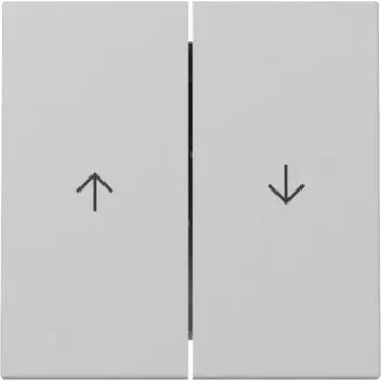 GIRA tipka 3294015 2-struka strelica System 55 sivi mat