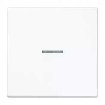 Jung KNX RF tipkalo 1 modul duroplast serija LS alpsko bijela LS10911STRFWW
