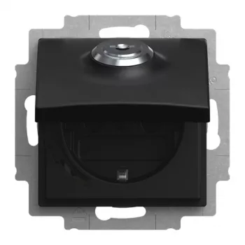 Busch-Jaeger Socket Outlet Insert 20 EUKBSL-915-101 Schuko 1-Gang Flush-Mounted Black Matt 2CKA002018A1589