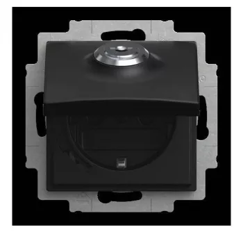 Busch-Jaeger 20 EUKBSL-915 Socket Outlet Insert (2CKA002018A1588)