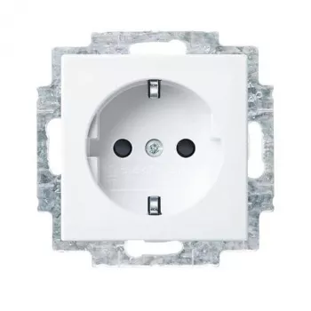 Busch-Jaeger 100er SCHUKO Socket Insert, Bulk Pack of 20, White/Light Grey 2CKA002013A5545