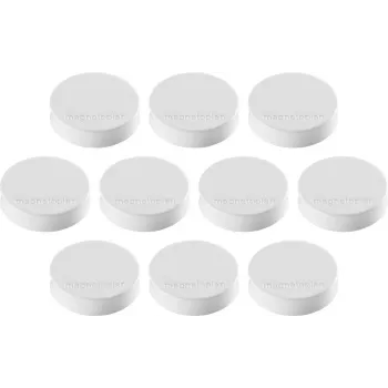 Magnetoplan Ergo-Magnete Medium bijeli feritni magnet, 30 mm, 1 komad 1664000