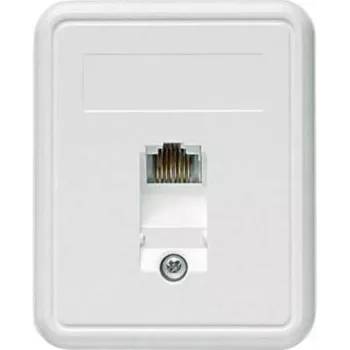 TELEGÄRTNER nadžbukna RJ45 utičnica 1xRJ45 neoklopljena, Cat. 5e (A0174)