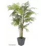 EUROPALMS cikas palma umjetna biljka, 280cm 82511360