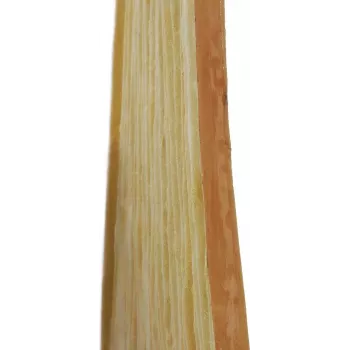 EUROPALMS bambusova zidna ploča 100x100cm, prirodna dekorativna ploča 83313220