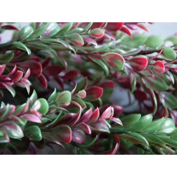EUROPALMS Artificial Grass Vine, Green-Red, 105cm 82503715
