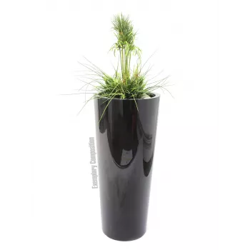 EUROPALMS Leichtsinn Elegance-110 ukrasna figura, crna sjajna 83011864