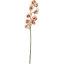 EUROPALMS umjetna grančica cymbidiuma, krem-roza, 90cm 82530311