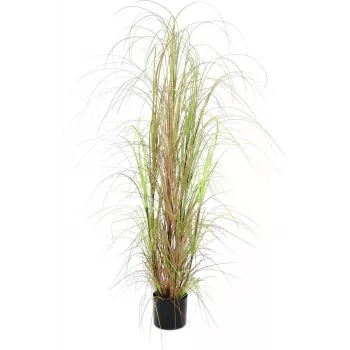 EUROPALMS umjetni grm trave, 150cm, zeleni, unutarnja dekoracija 82600127