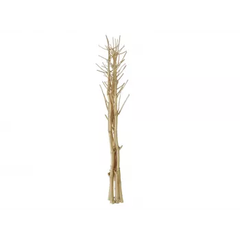 EUROPALMS sušeni snop komorača, zlatni, 160cm 83502363