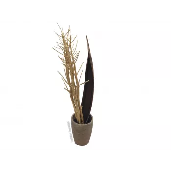 EUROPALMS sušeni snop komorača, zlatni, 160cm 83502363