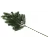 EUROPALMS grana jele, PE, 65cm 83500420