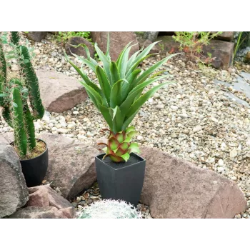 EUROPALMS agava u posudi, umjetna biljka, 75cm 82600160