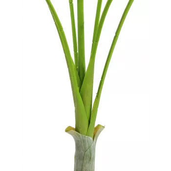 EUROPALMS Areca deluxe umjetna biljka, 180cm 82509443