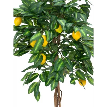 EUROPALMS umjetno drvo limuna, 180cm 82507816