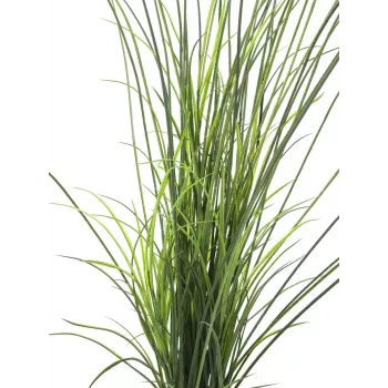 EUROPALMS umjetna trska, 145cm, zeleno-smeđa, u teglu 82600229