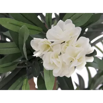EUROPALMS oleander drvo, umjetna biljka, bijelo, 120 cm (82507246)