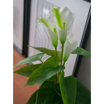 EUROPALMS Calla mini Artificial Calla Lily Plant, White, 43 cm 82540347