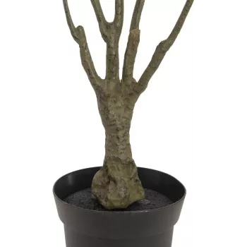 EUROPALMS umjetna biljka dracaena, zeleno-crvena, 90cm 82505778