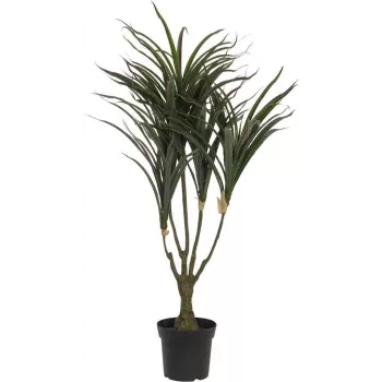 EUROPALMS umjetna biljka dracaena, zeleno-crvena, 90cm 82505778