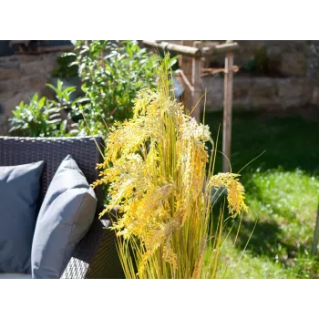 EUROPALMS umjetni snop trske, 118 cm 82600136