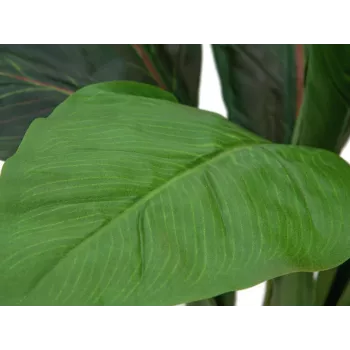 EUROPALMS umjetni bush blitve, 45cm, zeleni 82508302