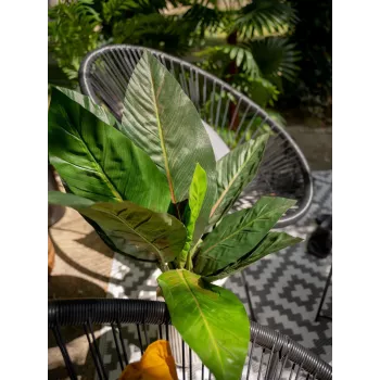EUROPALMS umjetni bush blitve, 45cm, zeleni 82508302