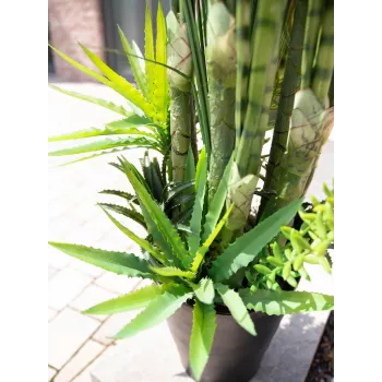 EUROPALMS Succulent Mix Artificial Plant, 190cm 82600035
