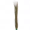 EUROPALMS umjetna trava šaša, kaki, 127 cm 82505853