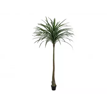 EUROPALMS Dracena umjetna biljka, zelena, 220cm 82505798