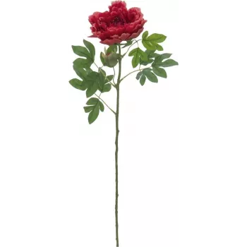 EUROPALMS Classic Peony Branch umjetna biljka, magenta, 80cm 82530211