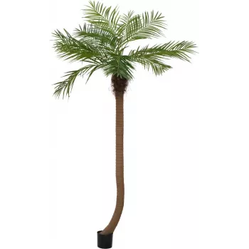 EUROPALMS Luxor zakrivljena umjetna feniks palma, 240cm 82510726