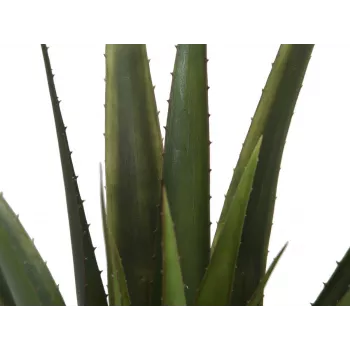 EUROPALMS Artificial Aloe Vera Plant, 60 cm, Black Pot 82600167
